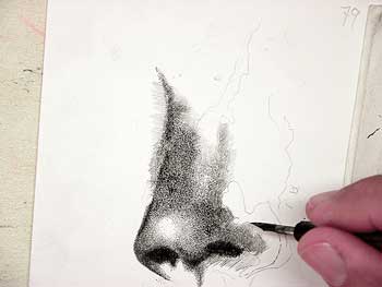 Nose36