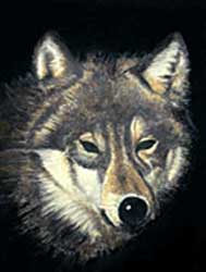 Wolf6